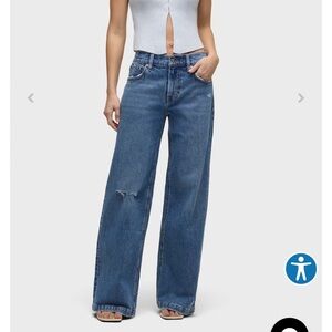 Hudson Jeans Rylee Low-Rise Radical Loose Jean Women's Size 25